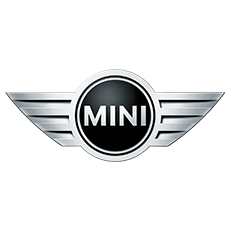 mini logo