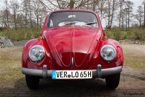 1965 Volkswagen Beetle photo