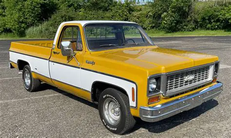 1973 Chevrolet Pickup