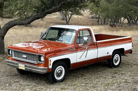 1974 Chevrolet C20 photo