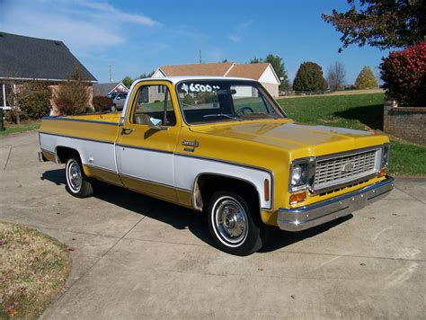 1974 Chevrolet Chevrolet truck