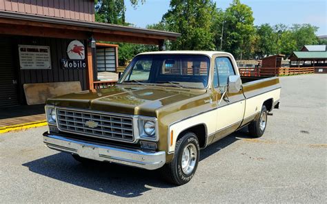 1976 Chevrolet Chevrolet truck engine