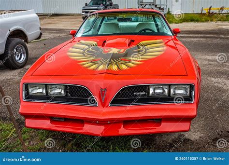 1978 Pontiac Firebird photo