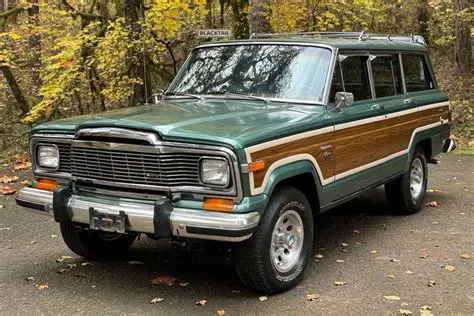 1979 Jeep Wagoneer engine