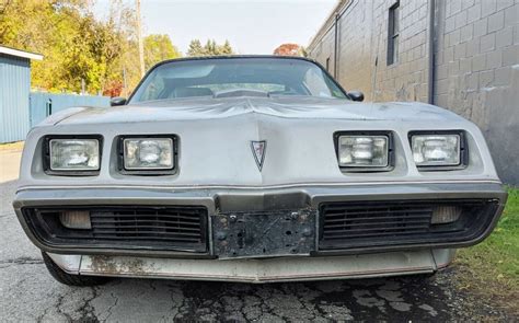 1979 Pontiac Trans am photo