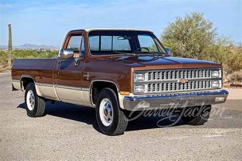 1981 Chevrolet C20 photo