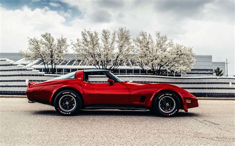 1981 Chevrolet Corvette photo