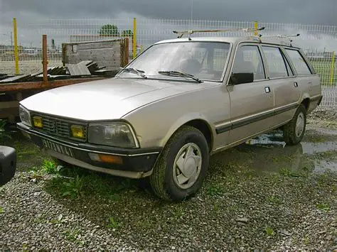 1982 Peugeot 505 photo