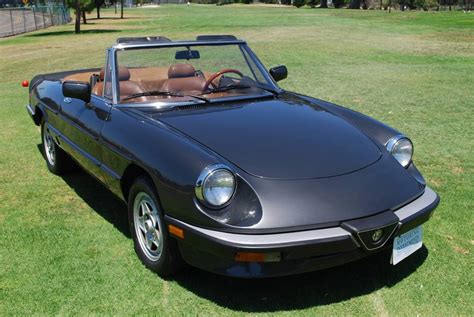 1984 Alfa romeo Spider photo