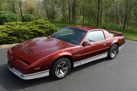 1987 Pontiac Firebird photo