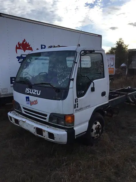 1996 Isuzu Isuzu truck