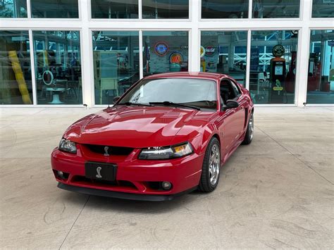 1999 Ford Mustang cobra photo