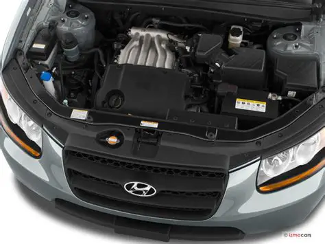 2009 Hyundai Santa fe engine