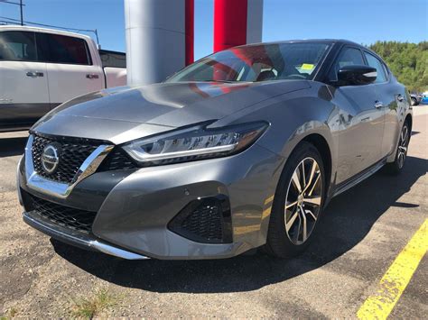 2019 Nissan Maxima photo