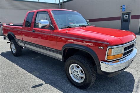 Dodge Dakota 1995 photo