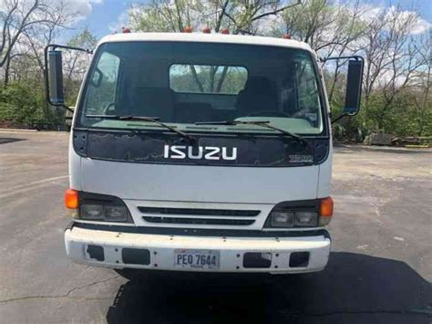 Isuzu Isuzu truck 1999 photo