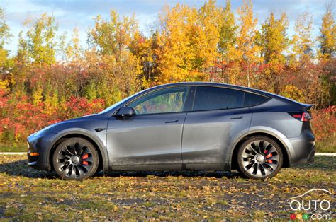 Tesla Model y 2022 photo