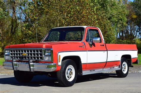 chevrolet c20 1980 photo