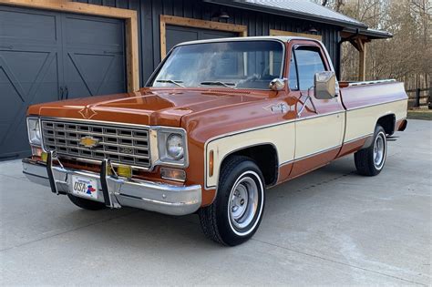 chevrolet chevrolet truck 1976 photo