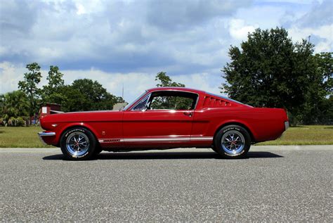 ford mustang 1966 photo