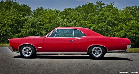 pontiac gto photo