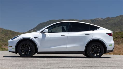 tesla model y 2023 photo